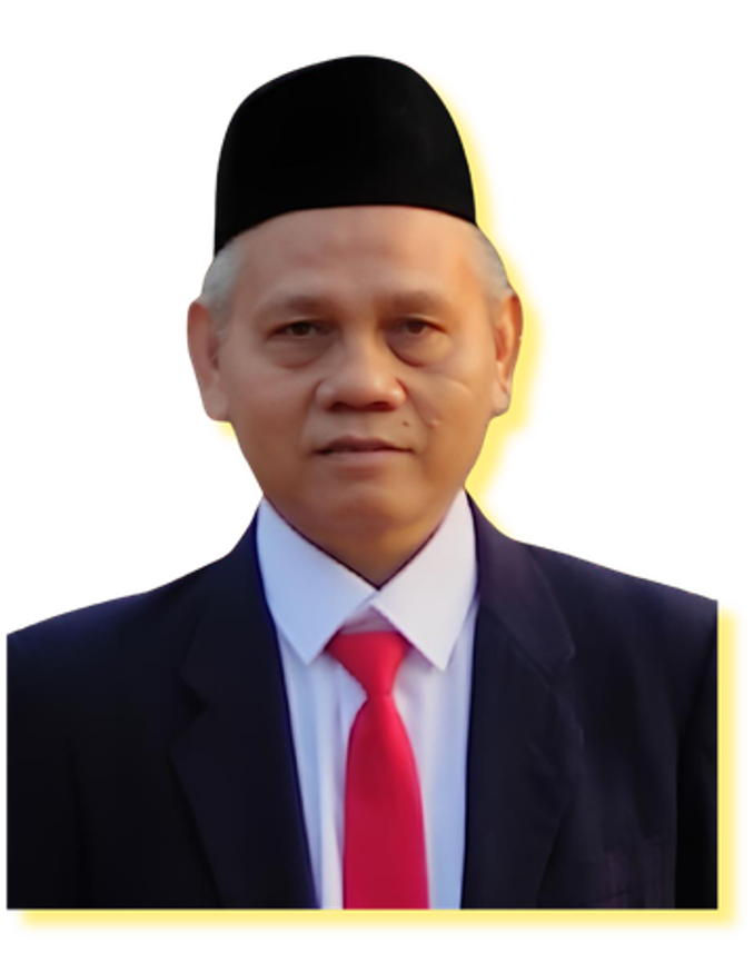 Wakil Kepala